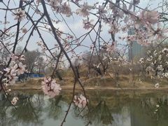 -青城公园