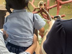 -长鹿旅游休博园