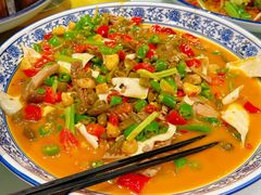 -新蜀会四川豆花(五羊店)
