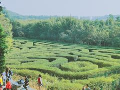 -大屏嶂森林公园