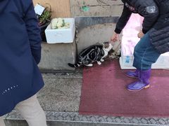 -芷江菜市场(静安店)