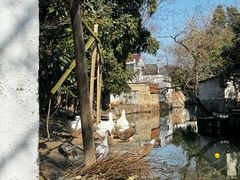 -丝绸小镇荻港古村