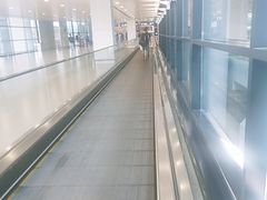 -上海浦东国际机场-T2航站楼