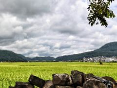-朝伟清真铜瓢牛肉馆(三十年老·店)