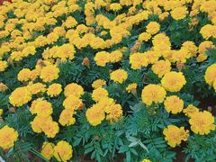 -雨花台烈士纪念馆