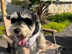 -三圣花乡旅游区