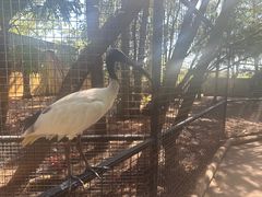 -费瑟代尔野生动物园