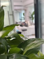 点击看大图 -韩美绣·骨相纹眉·洗眉美瞳线