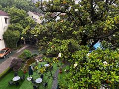 -大可堂普洱茶馆(襄阳南路馆)