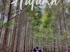 -桤木河湿地公园