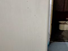 -天津啄木鸟数码维修