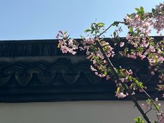 -上海醉白池公园