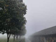 -乌石村