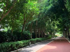 -南宁南湖公园