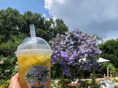 -HERRE·FARM 赫尔露营农场·团建聚会包场