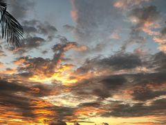 -ventus spa 沙巴亚庇正宗精油按摩会所