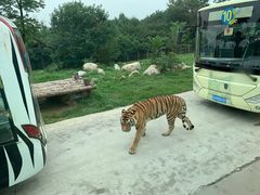 -西安秦岭野生动物园