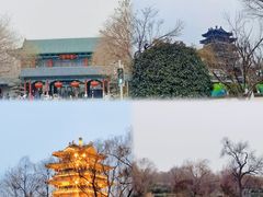 -趵突泉景区