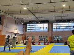 -武术世家少儿培训中心(首都体育学院店)