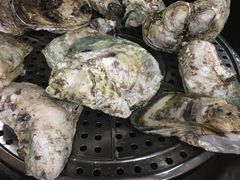 -蚝专家(北滘店)