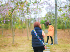 -聚龙山公园