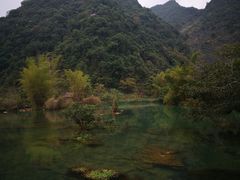 -靖西鹅泉风景区