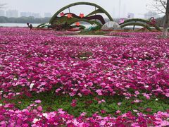 -海珠湖公园