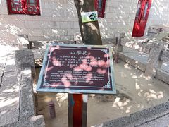 -青岛崂山太清宫