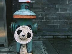 -星巴克臻选(成都宽窄巷子店)