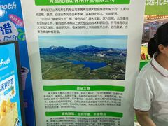 -第35届青岛国际啤酒节