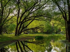 -上海共青森林公园