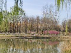 -大兴滨河森林公园