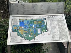 -九龙公园