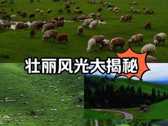 -新疆那拉提国家旅游度假区