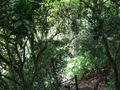 -海口火山口国家地质公园