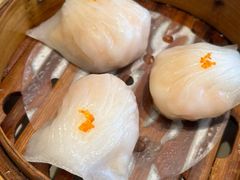 -金香匯晚茶(浑南店)