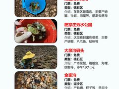 -巧克力渔家.小船海鲜胶东菜(万平口店)