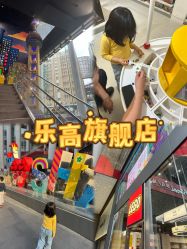 -乐高品牌旗舰店(人民广场店)
