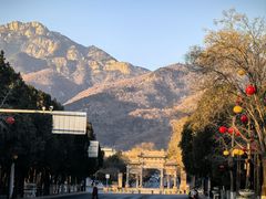 -万达广场(泰安泰山店)