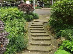 -上海科学技术职业学院