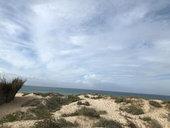 -维乐口腔医院(星海湾分院)