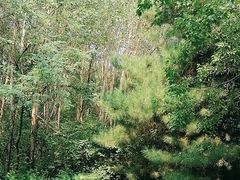 -沈阳鸟岛