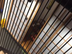 大堂-牛a潮汕鲜牛肉粿条(天河北店)