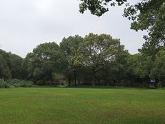-美兰湖景区