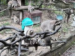 -宁波野生动物园