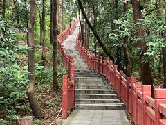 -南国桃园旅游度假区