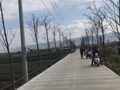 -才村湿地公园