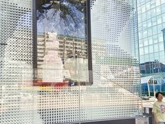 -BLACKSWAN黑天鹅(环球店)