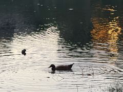 -仙店农庄(湖景农庄餐厅)