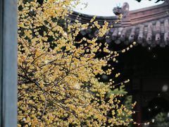 -钱王祠